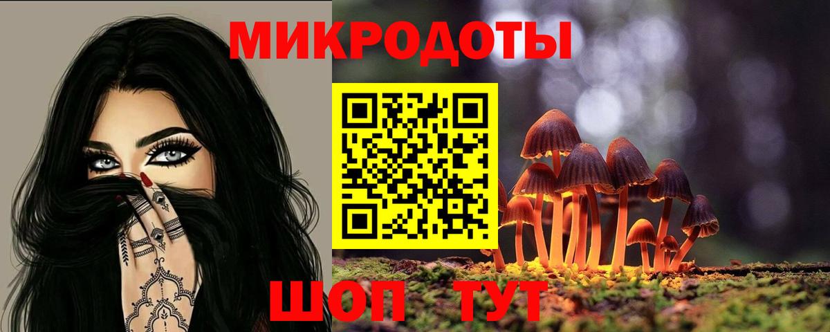 Галлюциногенные грибы Psilocybe Новошахтинск