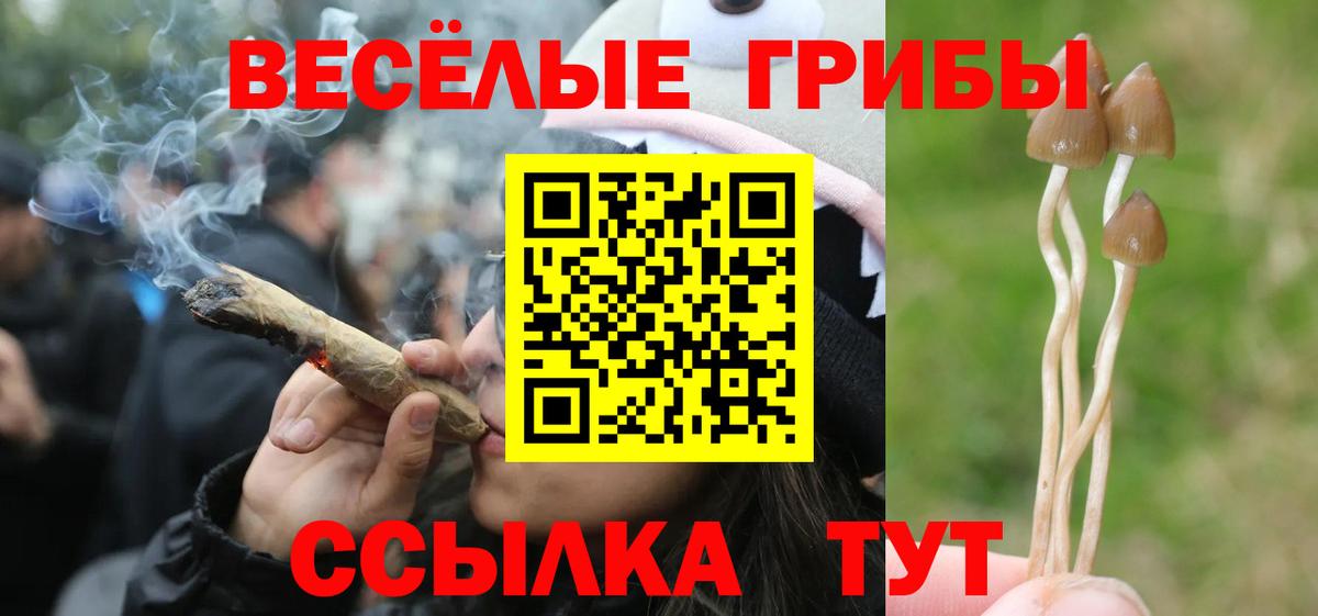 Галлюциногенные грибы мухоморы  Псилоцибиновые грибы Psilocybe  Вход с VPN  Новошахтинск 